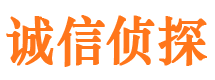 兴国出轨取证